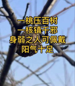 種桃花樹風水宜忌有哪些 會招引邪氣