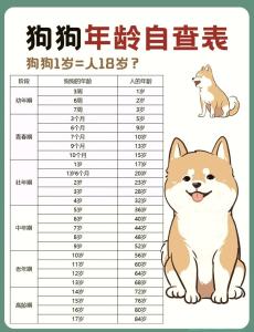 94年屬狗如何提升財(cái)運(yùn) 94年出生的屬狗人幾歲最有錢