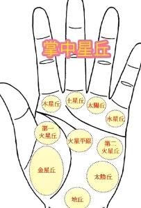 手相木星丘在什么位置？木星丘豐滿，功成名就！