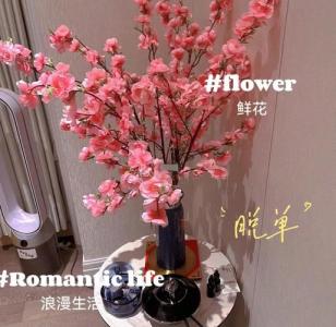 花瓶催桃花風水布局  宜擺放在桃花位的房間中