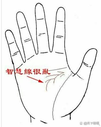 智慧線有亂紋的人事業(yè)如何