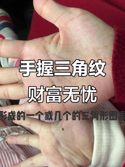 手掌心有好幾個三角紋 好運到財富興事業旺