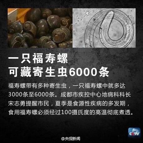 為什么說六個螺壽命短 事業不穩財運有待提高
