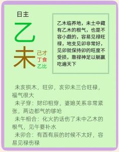 乙未日柱2021年流年運勢