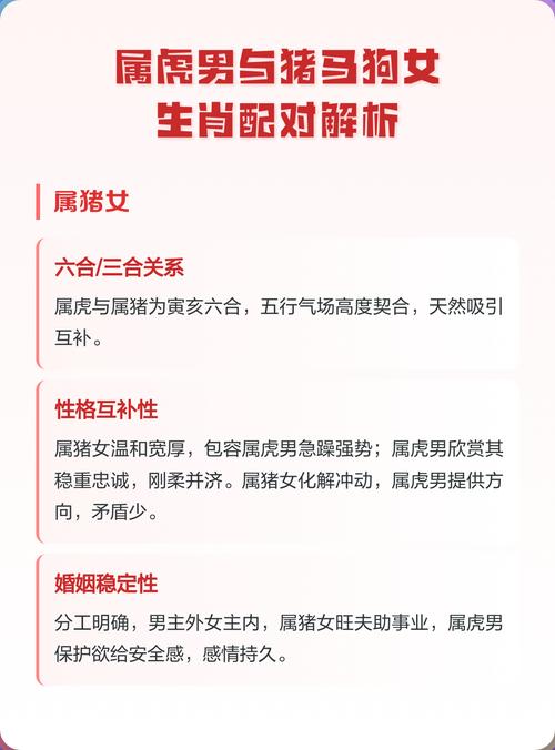 和屬豬女的性格分析 生肖豬女跟生肖虎男配嗎