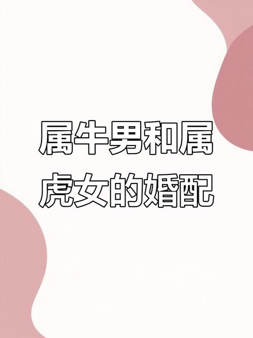 和屬牛女有共同的特點 12生肖虎男配什么生肖