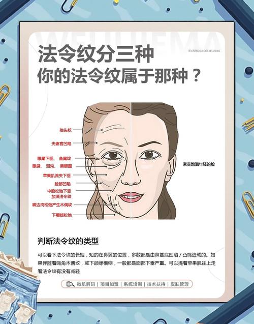 法令紋的女人面相圖解分析