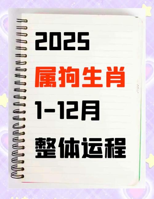 屬狗2024青龍年出生有什么大坎嗎