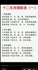屬鼠的跟哪個(gè)屬相相克 屬鼠人配什么屬相最好