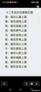 屬狗人命中注定的另一半