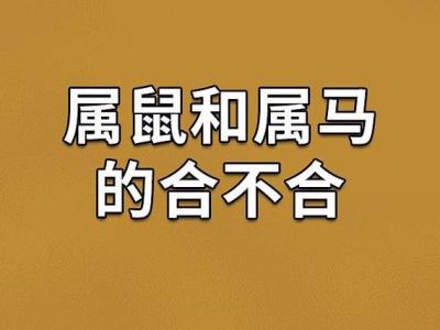 屬馬和屬鼠生意上能合作嗎
