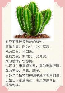 臥室什么風水會影響婚姻  帶刺植物破壞感情