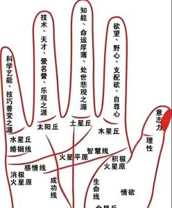 手相佛眼紋有什么說法