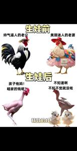 牛爸爸牛媽媽生豬寶寶合不合 家庭矛盾少