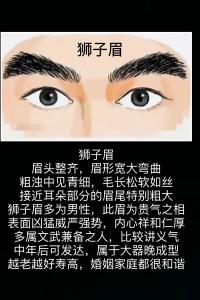 天生豪爽，不拘小節的獅子眉面相分析