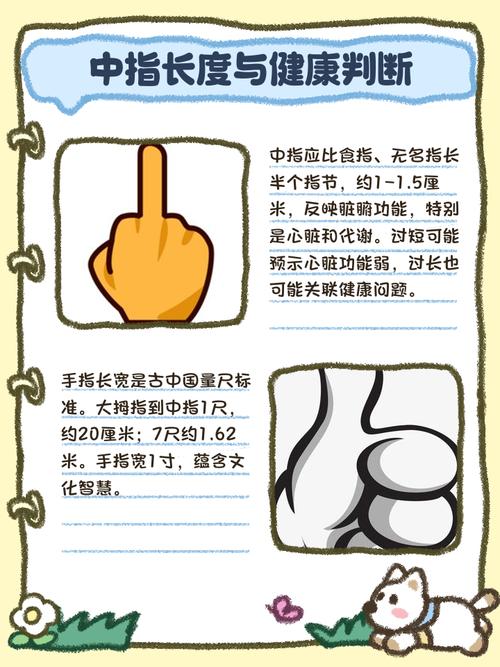從中指的長度看性格
