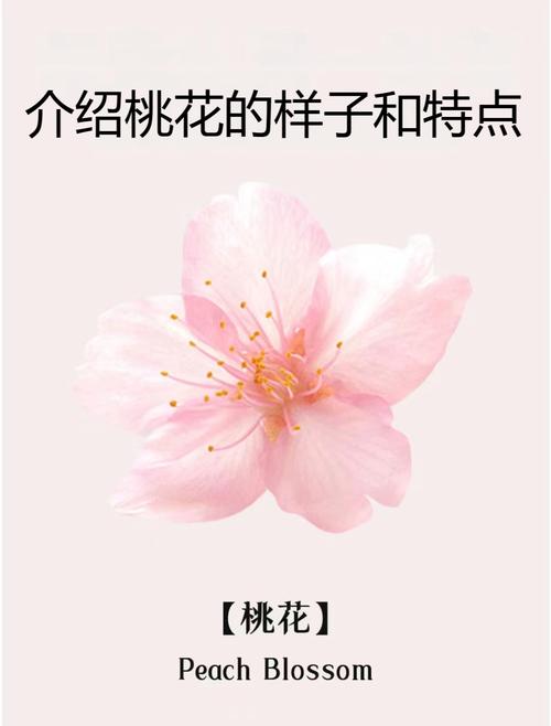 怎樣增強自己的桃花運 旺桃花的花是哪個花