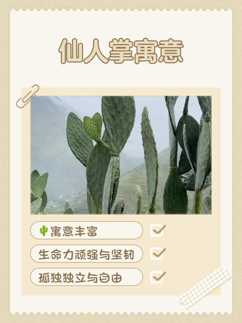 鬧離婚的房子風水好嗎 切記勿種仙人掌