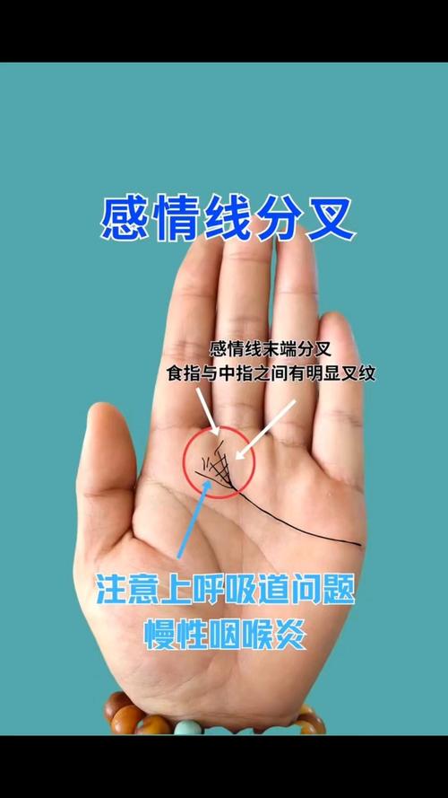 占有欲極強的男人手相感情線分叉圖解