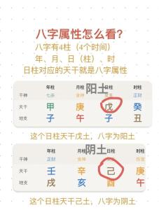 如何看懂自己的八字命盤 學會讀象