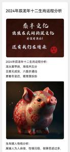 2024甲辰龍年屬豬人會遇上什么災難嗎