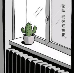 家里犯桃花的風水  鏡子太多會招爛桃花