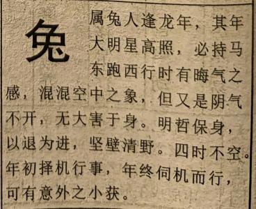 1951年屬兔的人2024年運勢運程詳解 1951屬兔2024年的運勢及運程