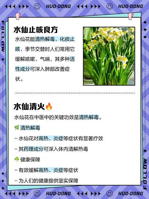 水仙花的風(fēng)水作用