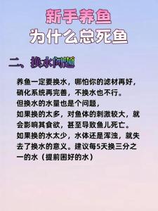 為什么家庭養魚總是死呢？