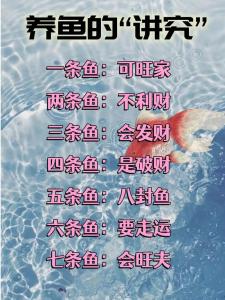風水魚養幾條好?