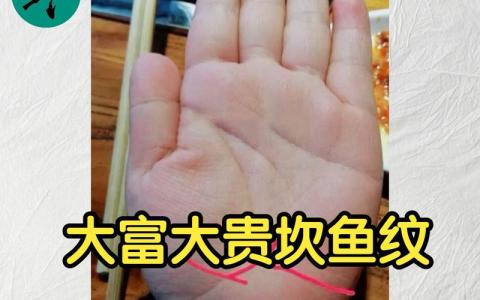 大富大貴坎魚紋手相 雙魚紋出現(xiàn)在艮宮震宮文采出眾