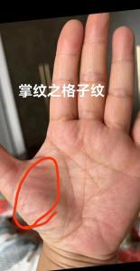 手掌雜紋看命運——格子紋
