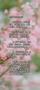 時柱七殺有貴子是真的嗎