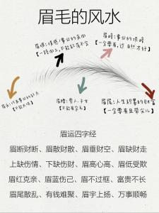 短眉毛的面相好嗎