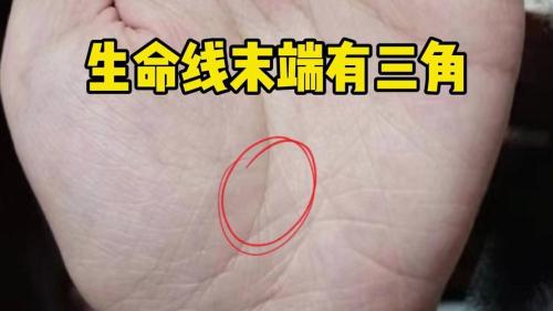 標準金房子手相圖片 三角紋位于生命線上