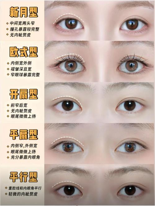 相學中眼皮左雙右單
