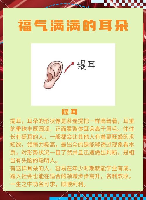 解析：什么樣的耳朵有福氣？
