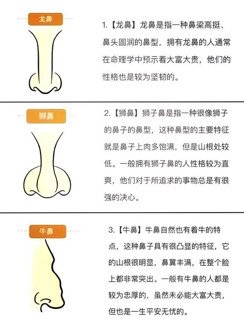 解析：什么樣的鼻子有福氣