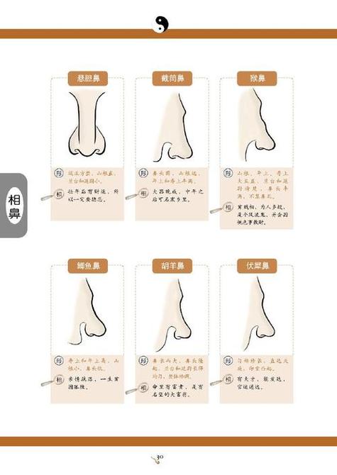 通天鼻子的女人命運面相詳解