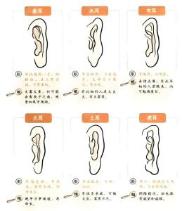 面相圖解：女人招風耳的說法