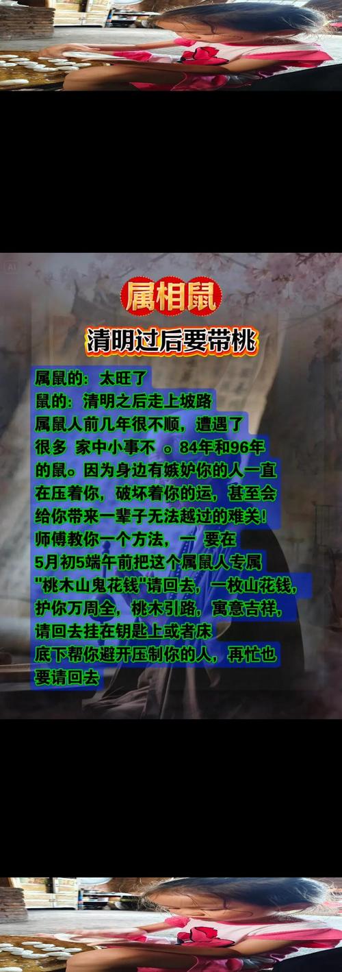 屬鼠人一生的命運怎么樣 屬鼠人一生的劫難是什么