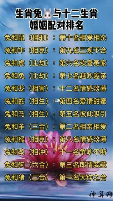 二者合不合呢 生肖鼠男配生肖兔女相配嗎