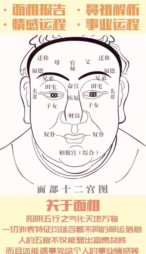 天生聰明有智慧的面相圖解