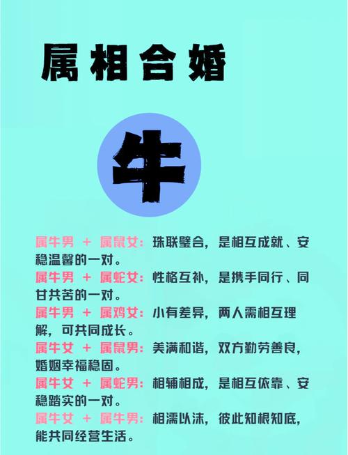 互相包容安全感十足 生肖牛女與生肖牛男配嗎