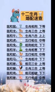 99年屬兔女和96年屬鼠男婚配如何 99兔女和96鼠男八字合嗎