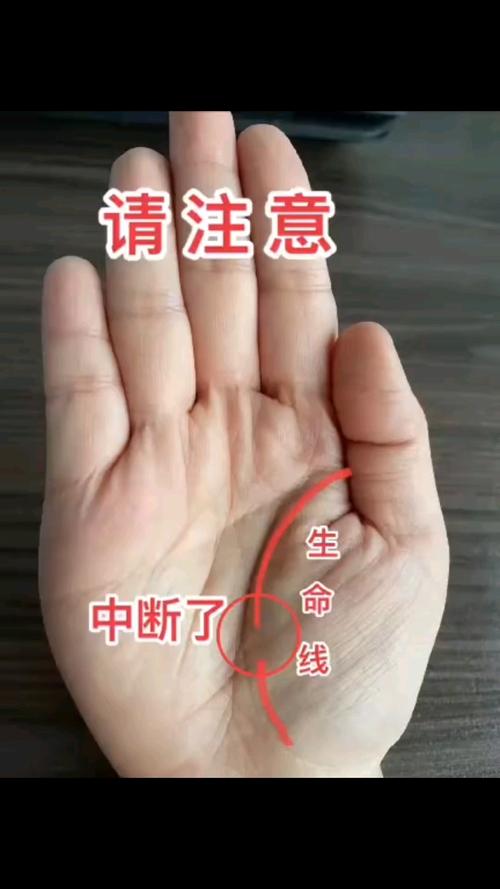 生命線中間岔開2條線