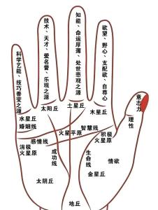 女人右手手相的生命線怎么看的 女人生命線圖解