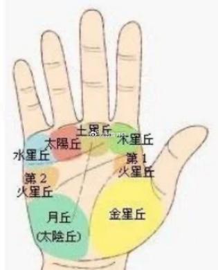 金星丘詳解！