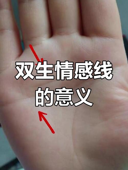 有兩條感情線，雙重感情線圖解