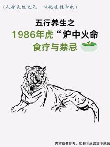 1986年爐中火命好不好 是享福命還是苦命